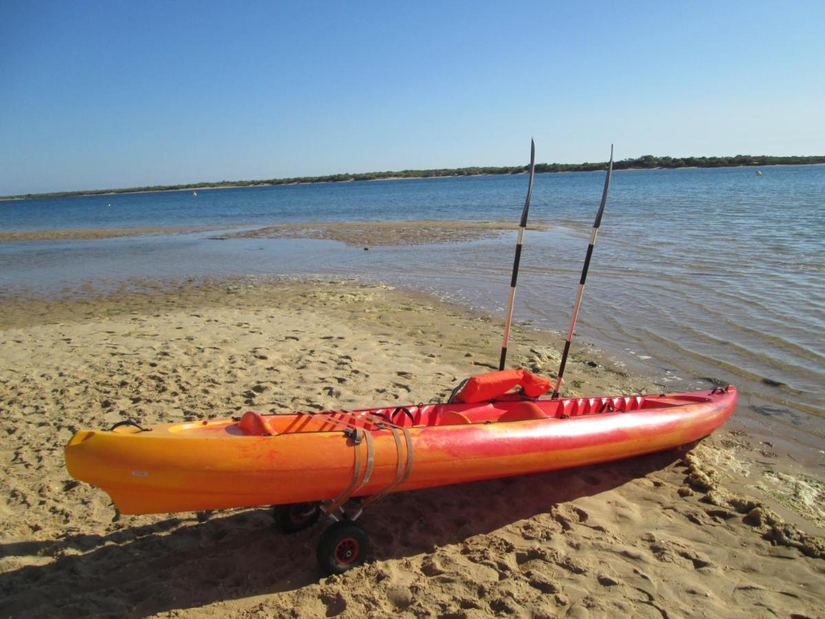 Disfruta Del Paraiso En Primera Linea De Playa Con Kayak Y Paddle Surf El Rompido Eksteriør bilde