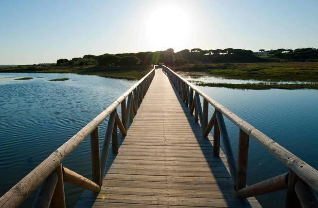 Disfruta Del Paraiso En Primera Linea De Playa Con Kayak Y Paddle Surf El Rompido Eksteriør bilde